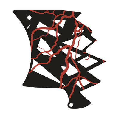 Cache pignon personnalisable pour am6