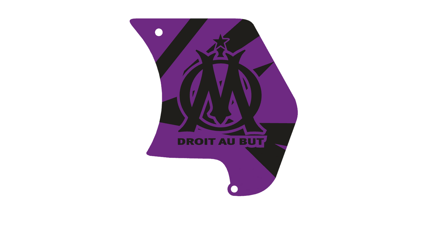 Cache pignon personnalisable pour am6